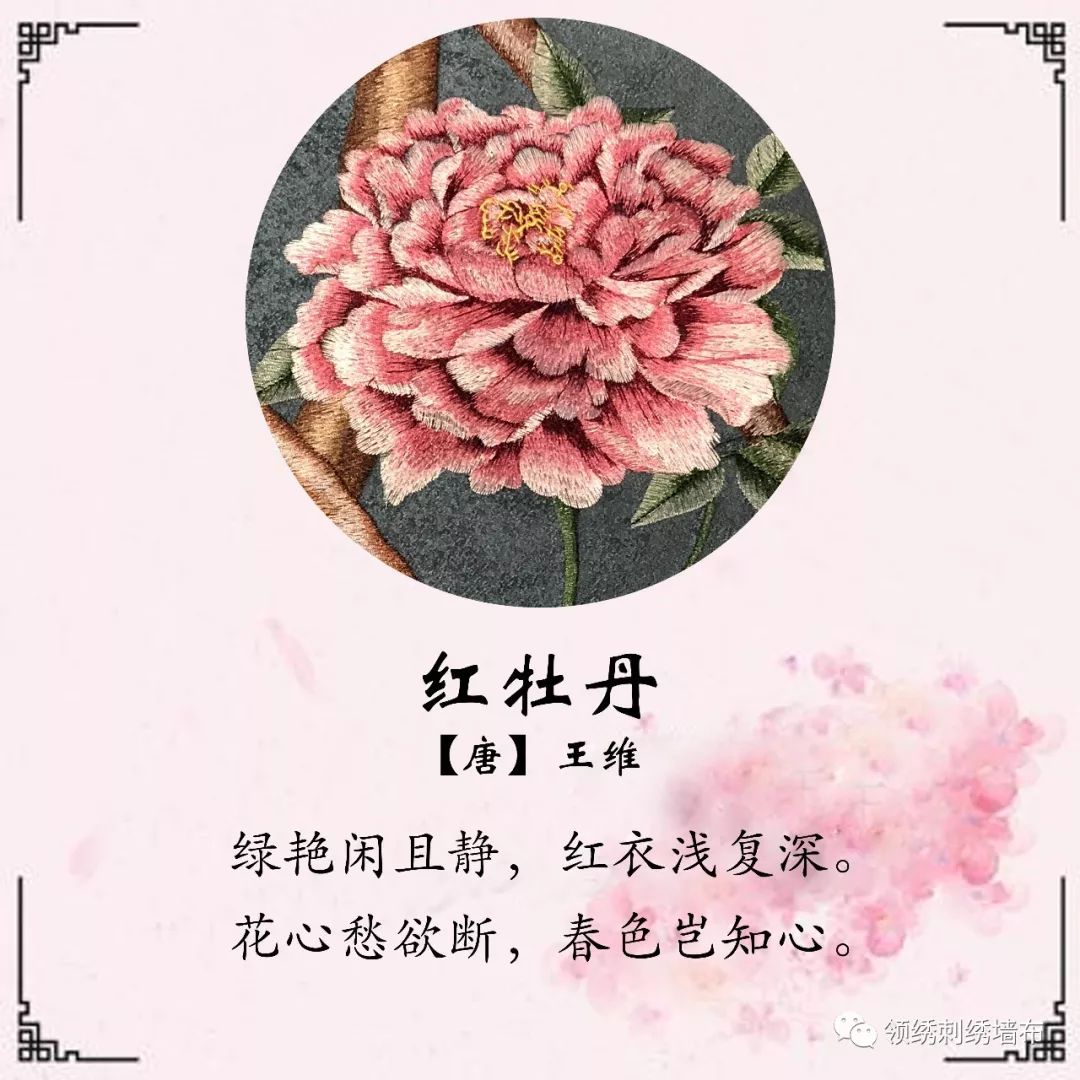 《红牡丹》王维图片