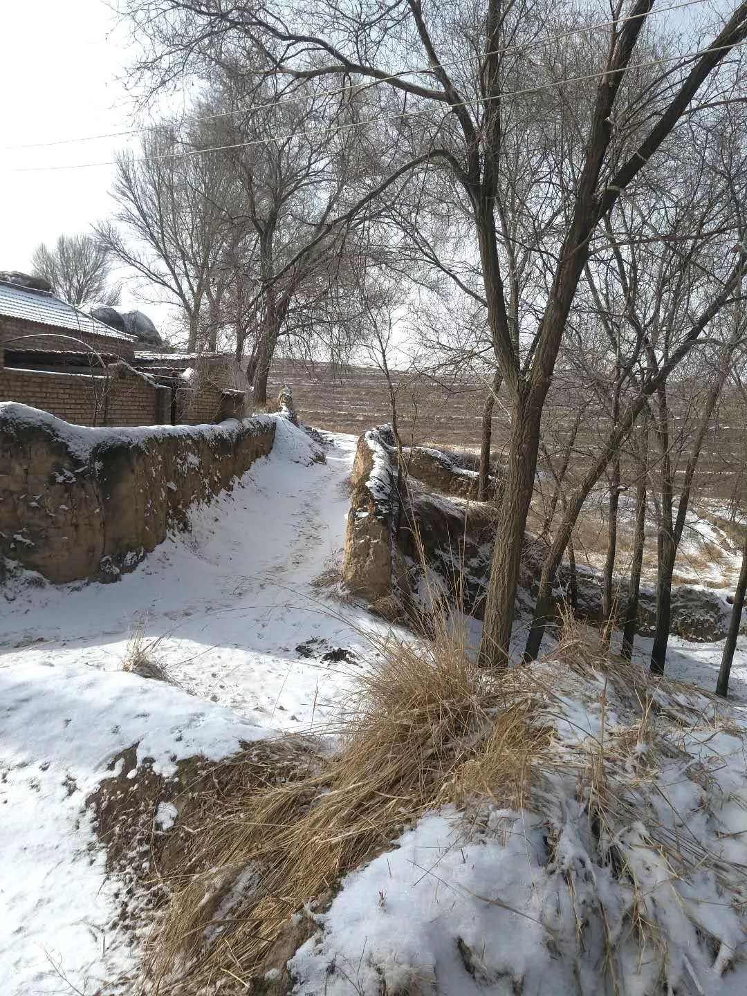 陕北北方农村雪景图片图片