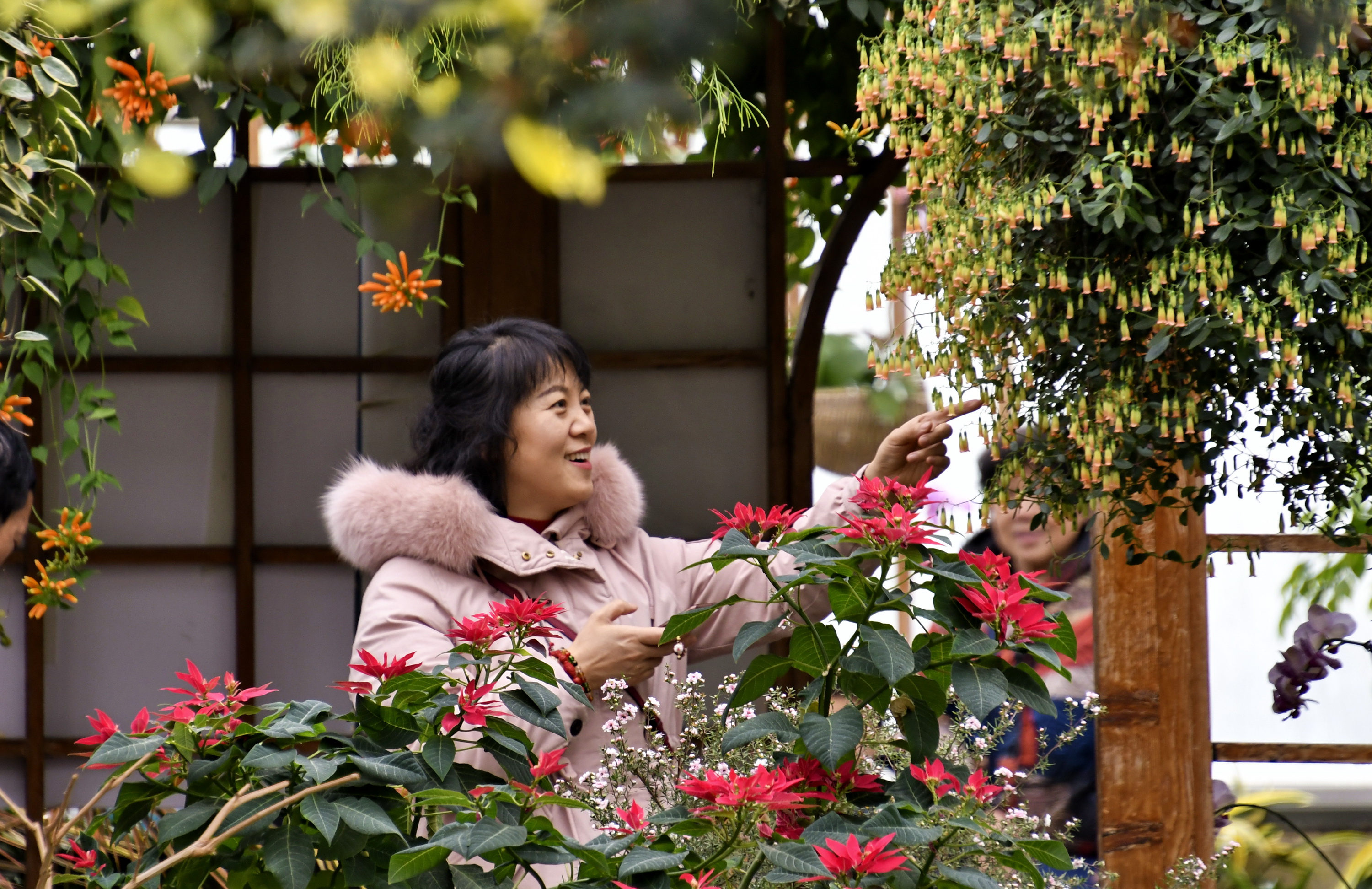 北京:赏花卉 过春节