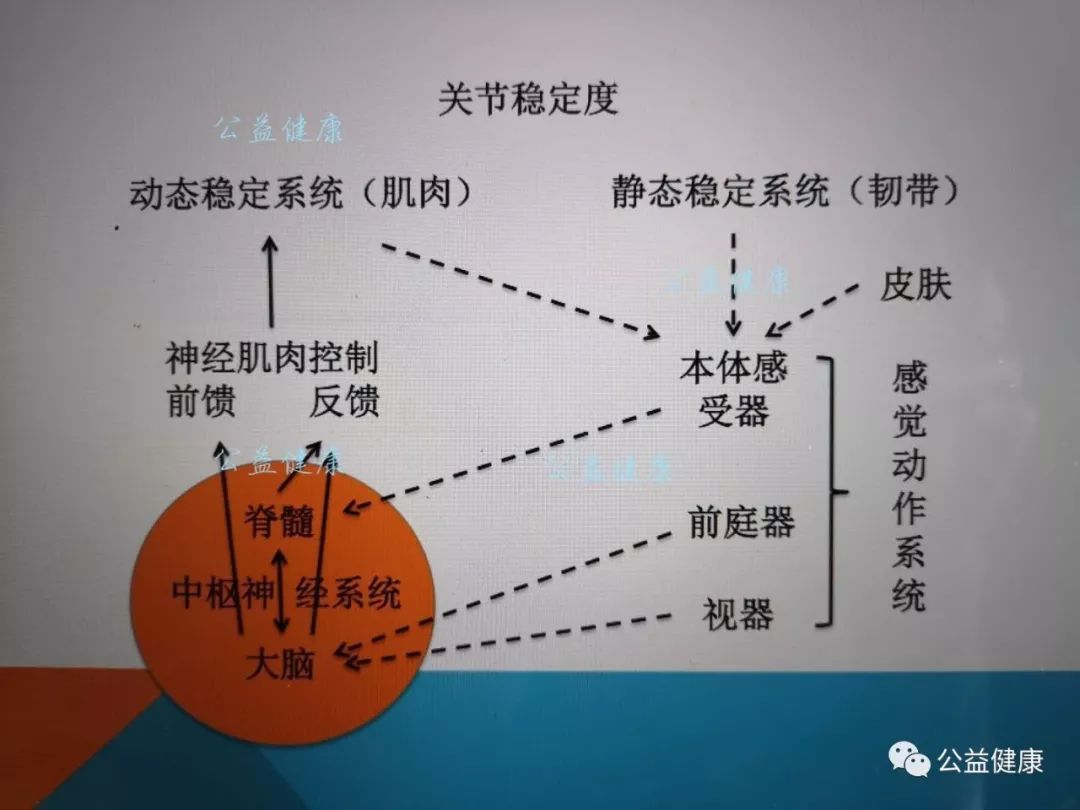 肌肉疲劳,姿势控制知多少?