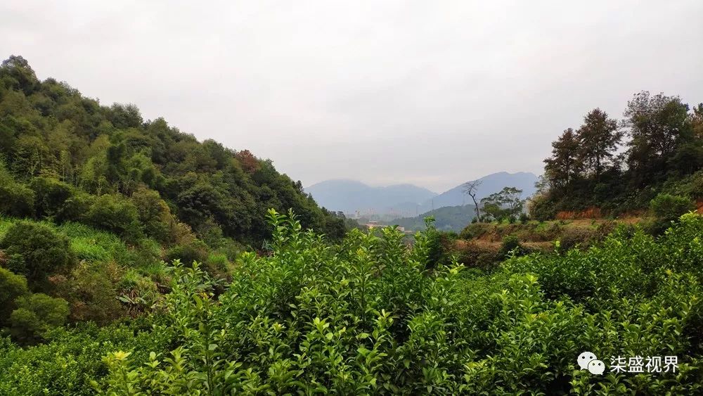 六君巖風景區與清水巖毗鄰,未來將形成禪茶道文旅生態圈,領略團結鄉村