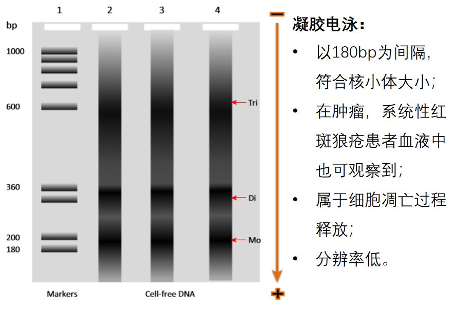 液体活检关于ctdnacfdna的那些事儿下