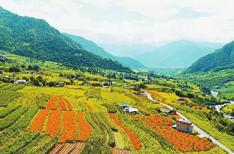 四川凉山州海花沟开发图片