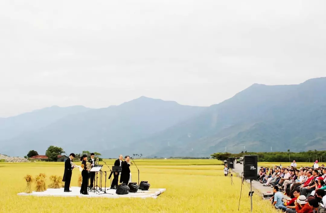 章继刚创意农业日记(270)稻田音乐会让创意农业轰动乡村_台湾