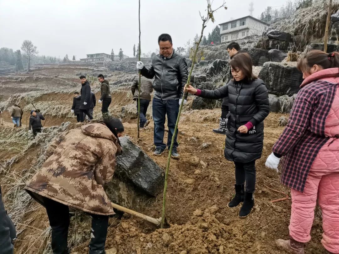 根據縣委,縣政府統一部署,2月11日,中寨鎮全體幹部職工,村四職幹部及