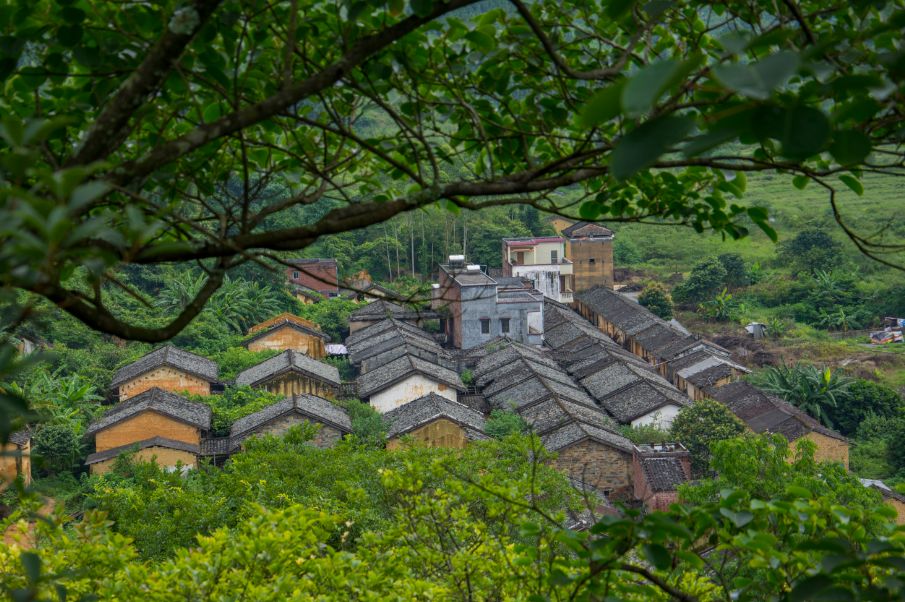 区发展民宿和乡村旅游▲虎尾村向日葵花海浸潭镇立足丰富的旅游资源和