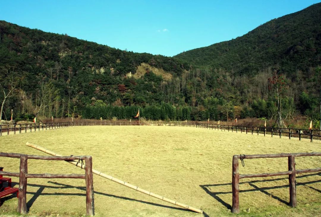 秦皇古道马场图片