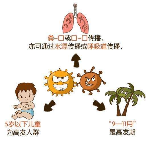 儿童腹泻的元凶轮状病毒感染