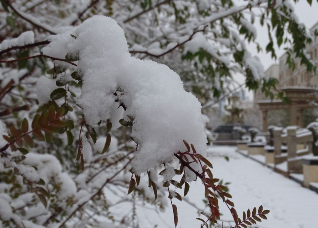 大年初六:返程恰逢下雪天