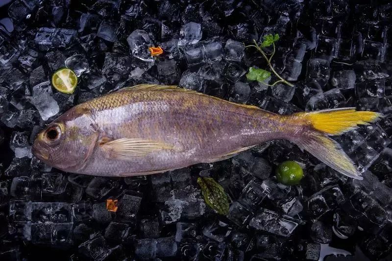 年年有餘不如天天吃魚丨新年從接受這份來自西沙群島