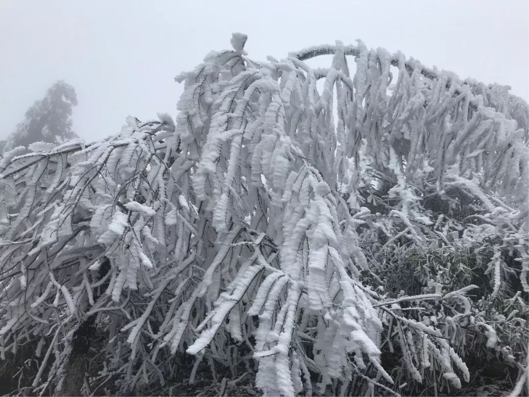 齐岳山雪景图片