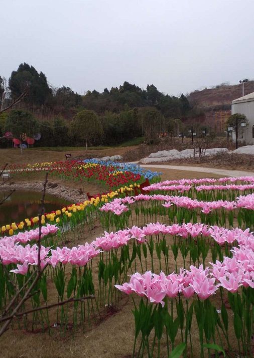 節;安嶽寶森檸檬小鎮舉辦迎春遊園活動,悅緣花谷舉辦首屆紅燈籠藝術節