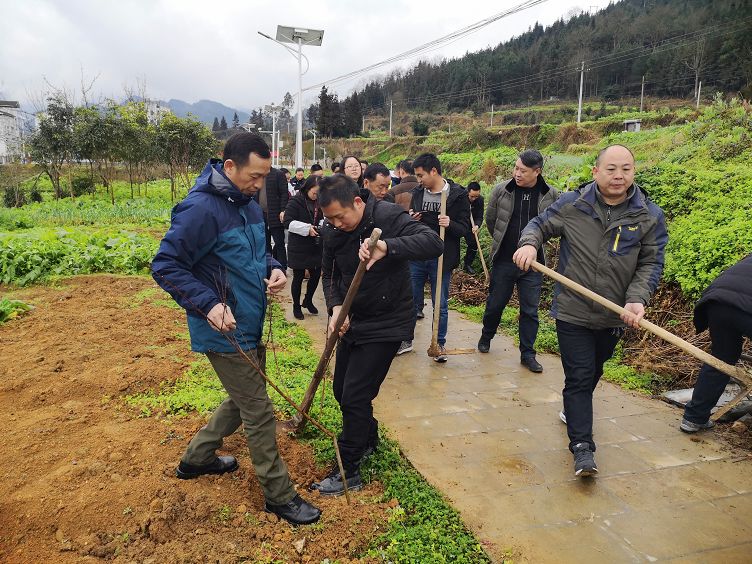 绥阳旺草车祸图片