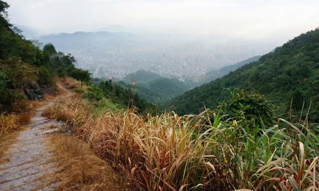 在這裡可以觀賞南際(漷)山的全貌南際景區以自然景觀為主輔以人工點綴