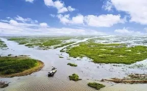 据悉,洪泽湖是淮河流域最大的湖泊型水库,从卫星云图上俯视,其水域