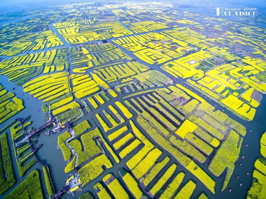 兴化垛田芦洲村高铁图片