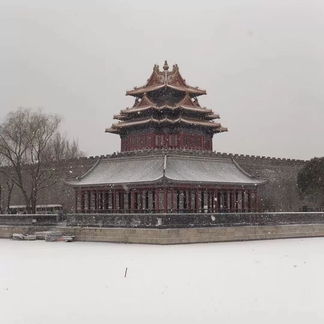 通州區新華大街西城月壇公園遊客們踏雪尋梅大觀園的雪景也是美不勝收