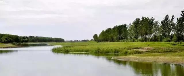 第一个国家湿地公园图片