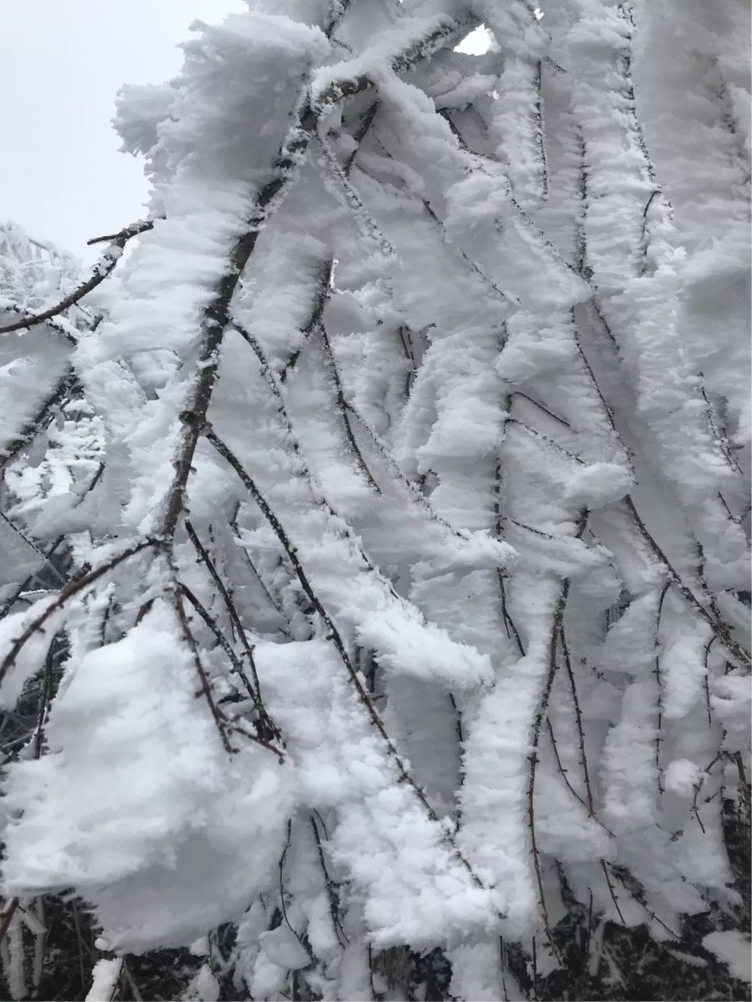 齐岳山雪景图片