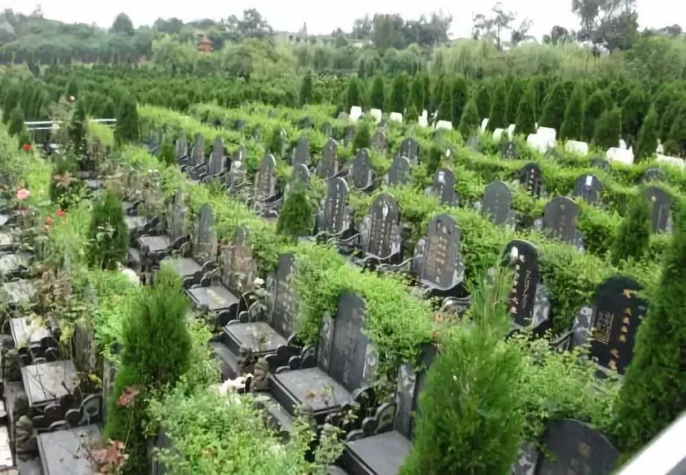 苏州金鸡山公墓图片