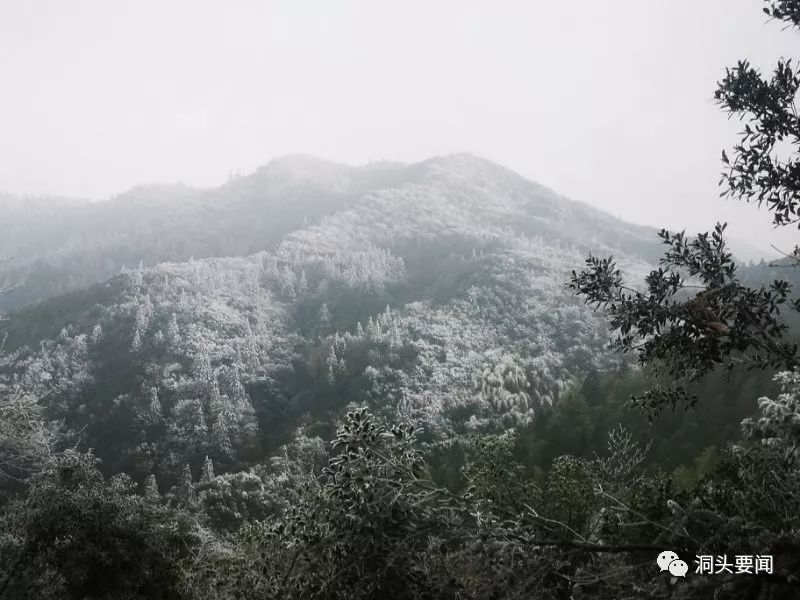 会昌雪莲山图片