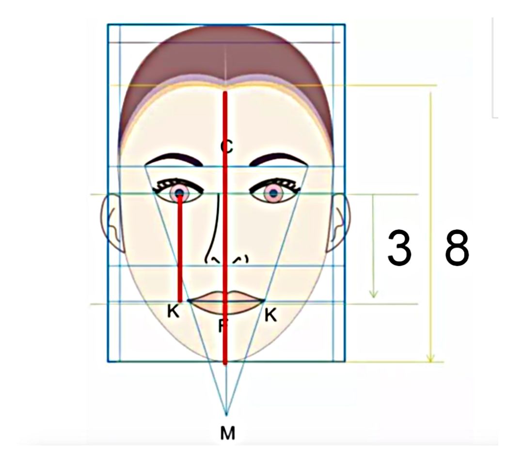 非常简单 答案是 内轮廓:指的是脸部的纵向平衡 也就是瞳孔到嘴唇