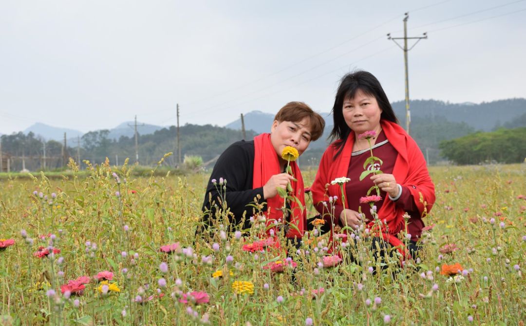 正月初五新興縣新城鎮聯群鄉道簡村第二隊金花回孃家聚會