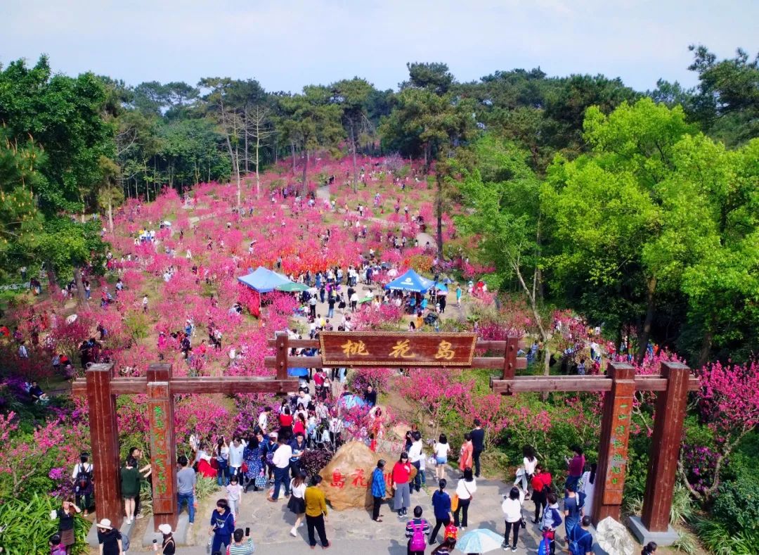 青秀山桃花岛图片图片