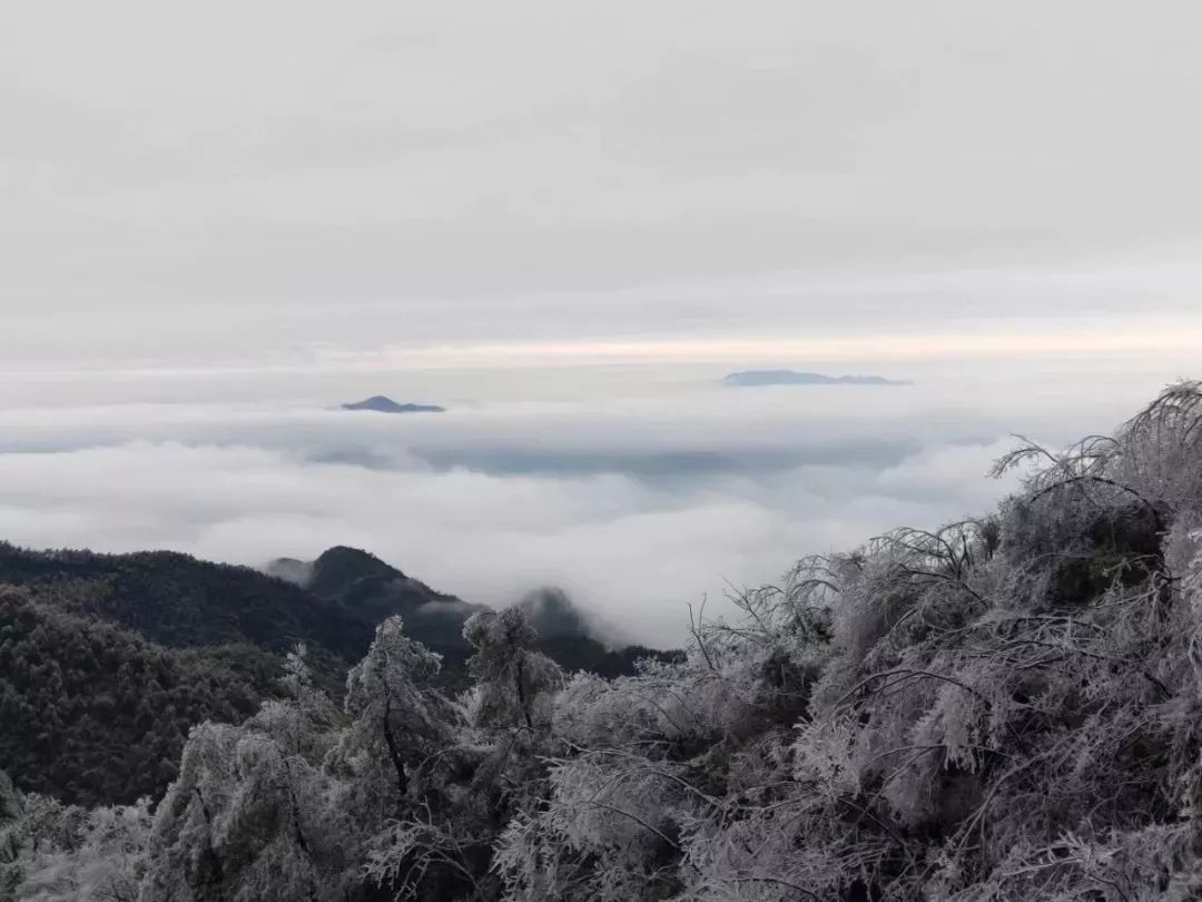 戴村石牛山森林公园图片