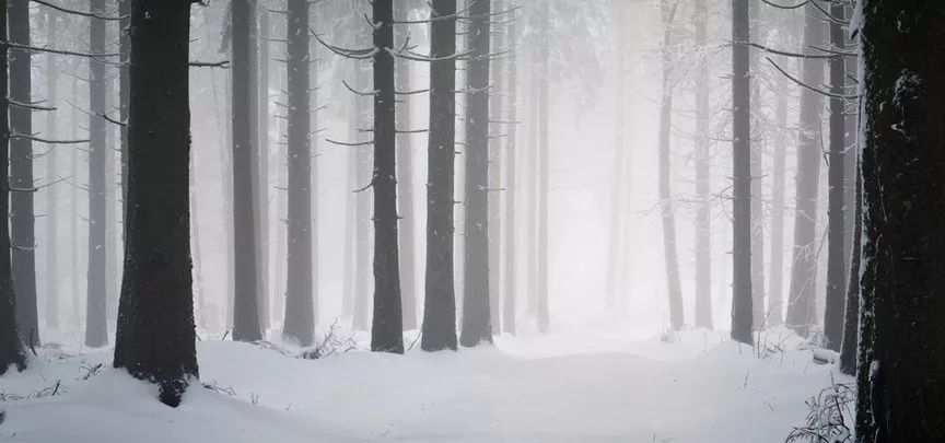 創作大賽雪夜情思寧靜致遠