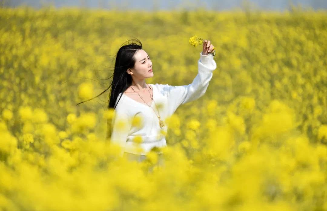 立春已過臺兒莊將花開成海鮮花美女音樂美食四季景美如畫