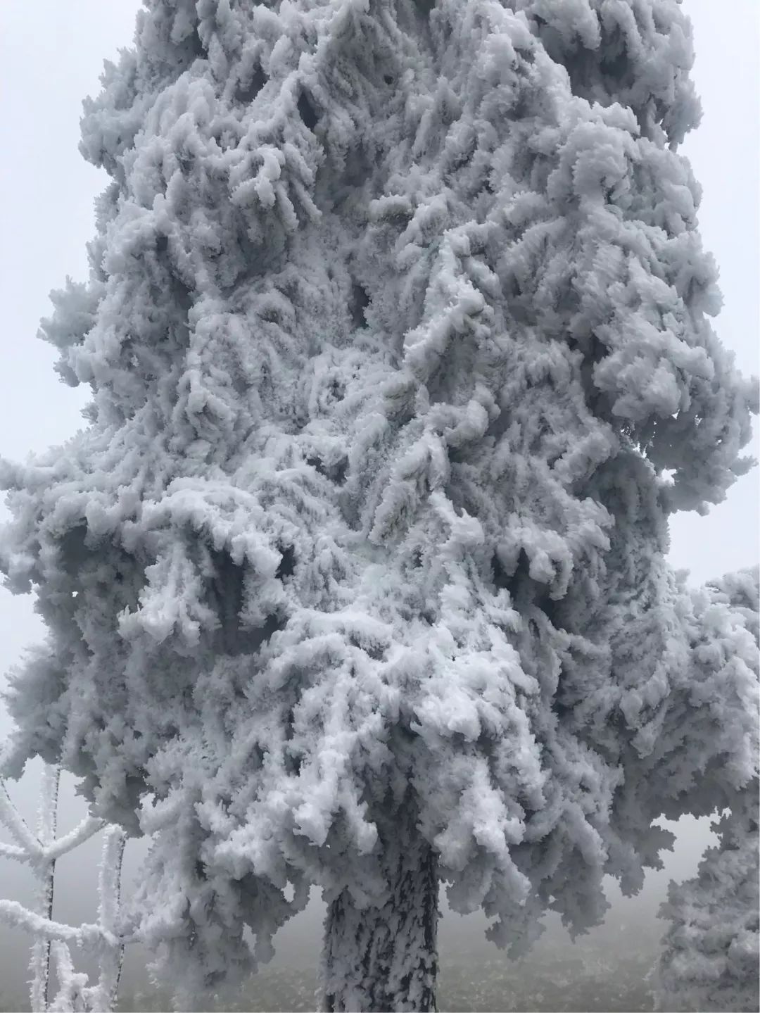 齐岳山雪景图片