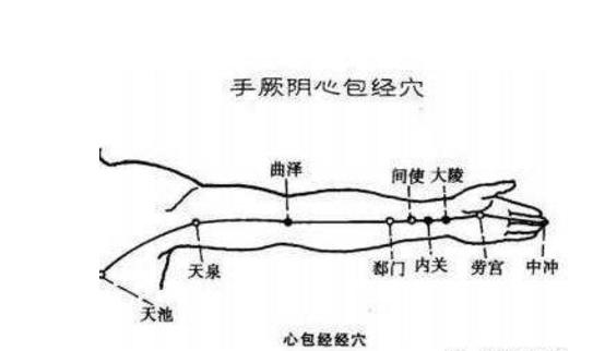 人体天池在什么位置图图片