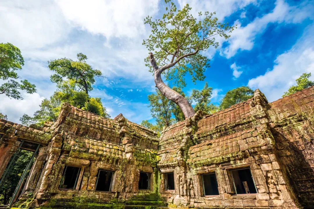 柬埔寨旅游|柬埔寨吴哥窟,一生必去一次的地方!