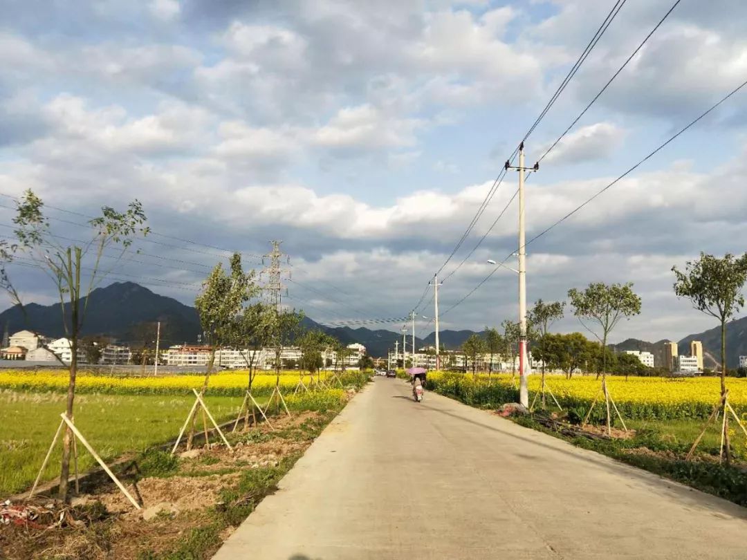 開展環境整治大掃除上圖為黃田段防洪壩建成全年拆除違建26.