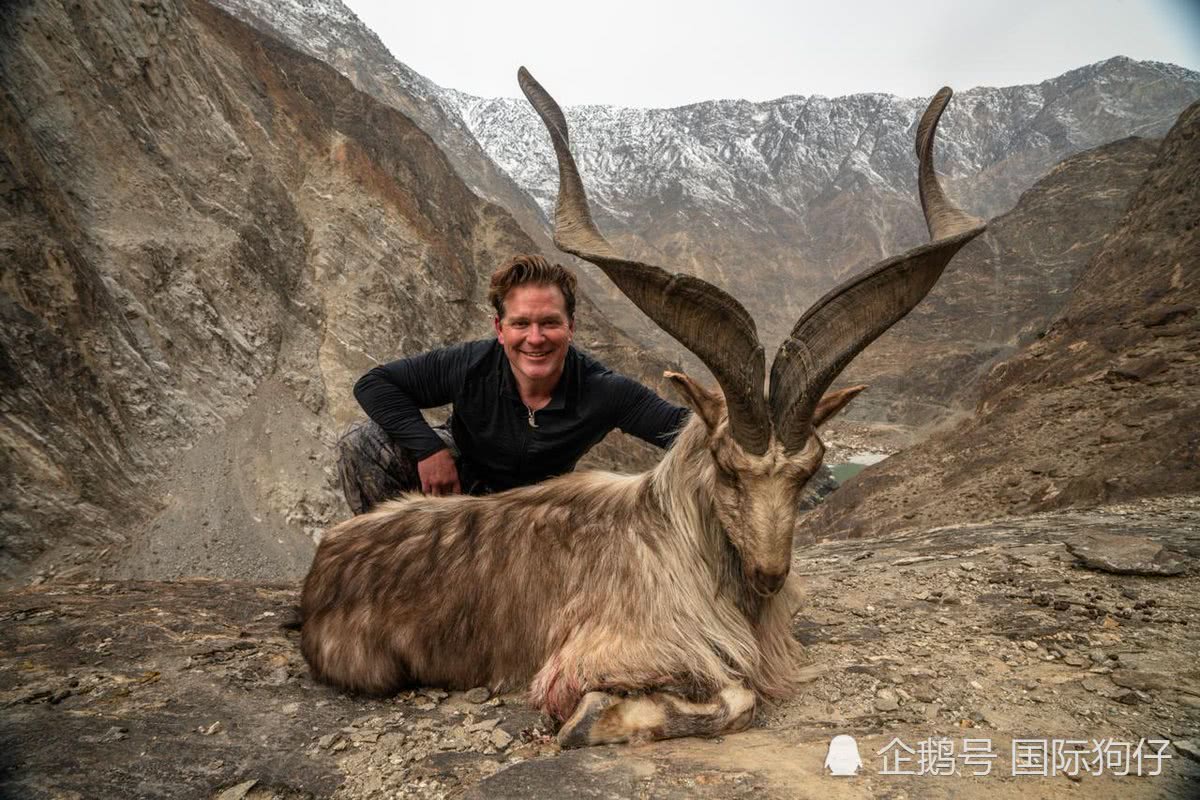 3名美国人跑喜马拉雅山猎杀濒危国兽 还兴奋合影