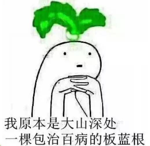 板蓝根卡通图片图片