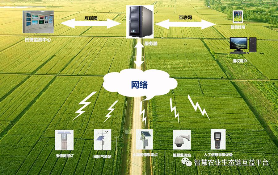 信息化成农业农村现代化先导力量