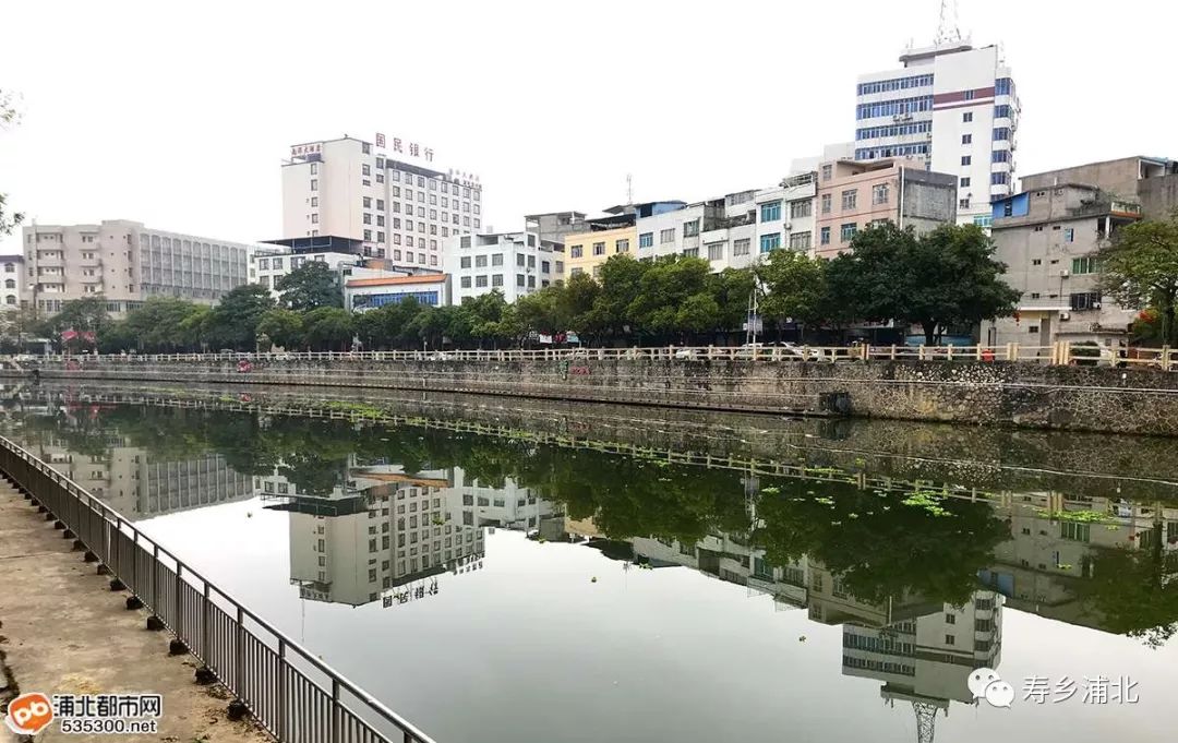 浦北马江河一夜间变绿,背后原因竟是这东西