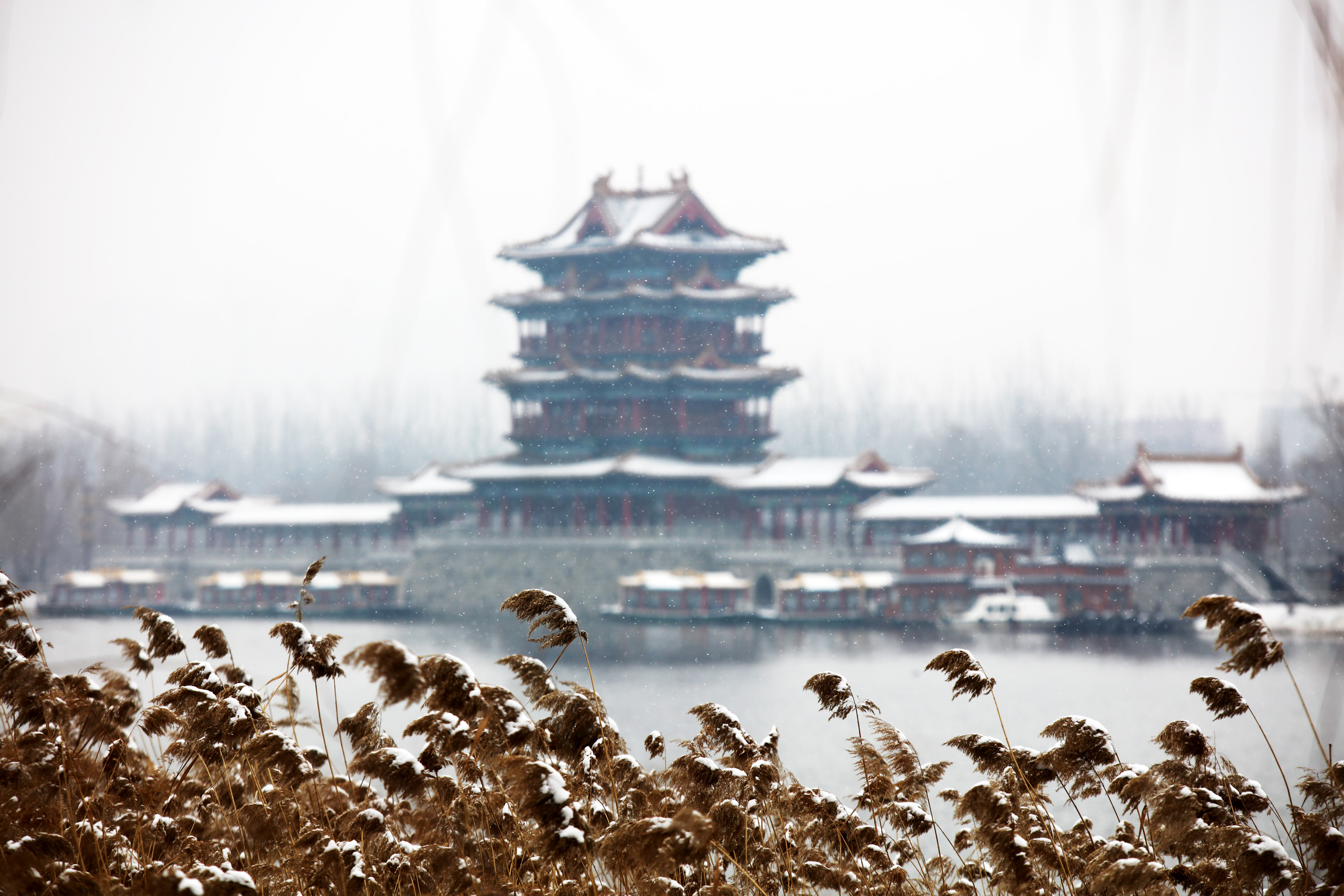 汾河二库冬天图片