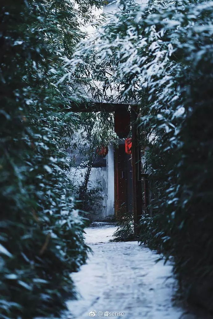 石家庄下大雪有人写了一首诗突然火了…