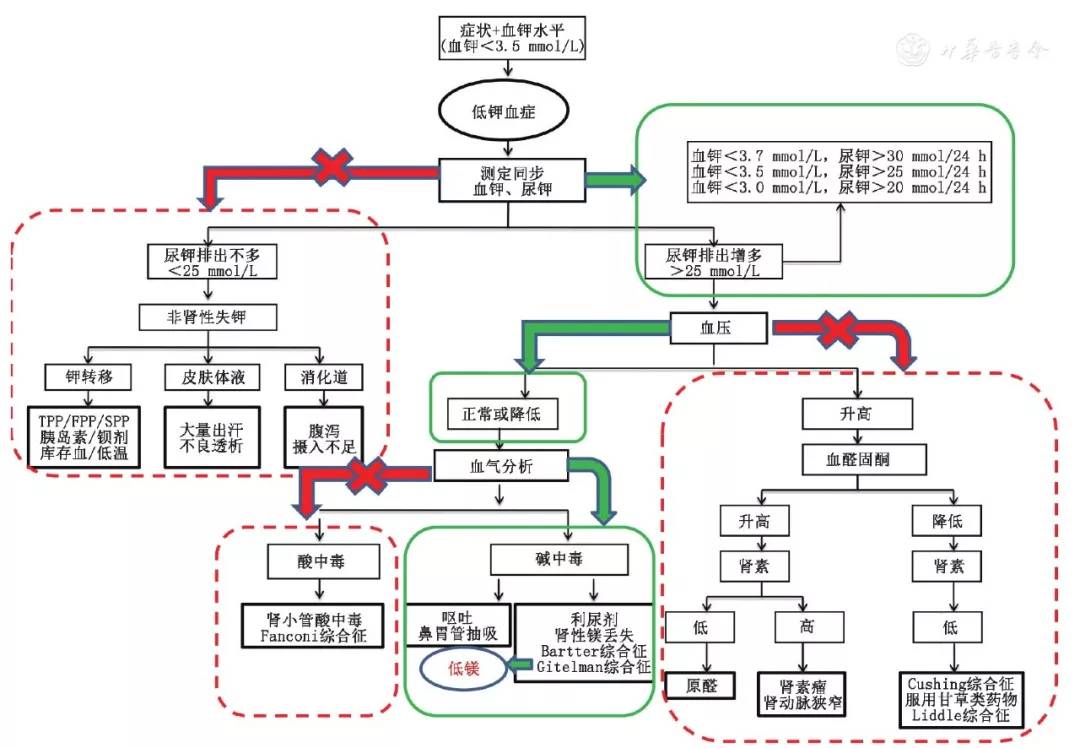 圖2 低鉀血癥診斷流程圖志 謝志謝 北京大學人民醫院內分泌科蔡曉凌