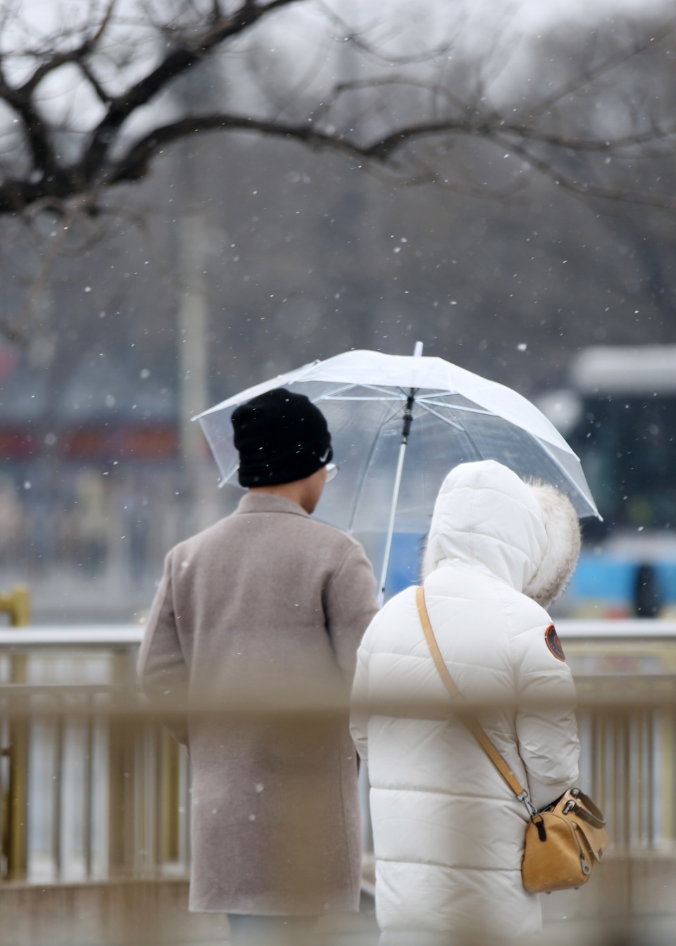 情人节偶遇降雪情侣雪中漫步合影秀恩爱