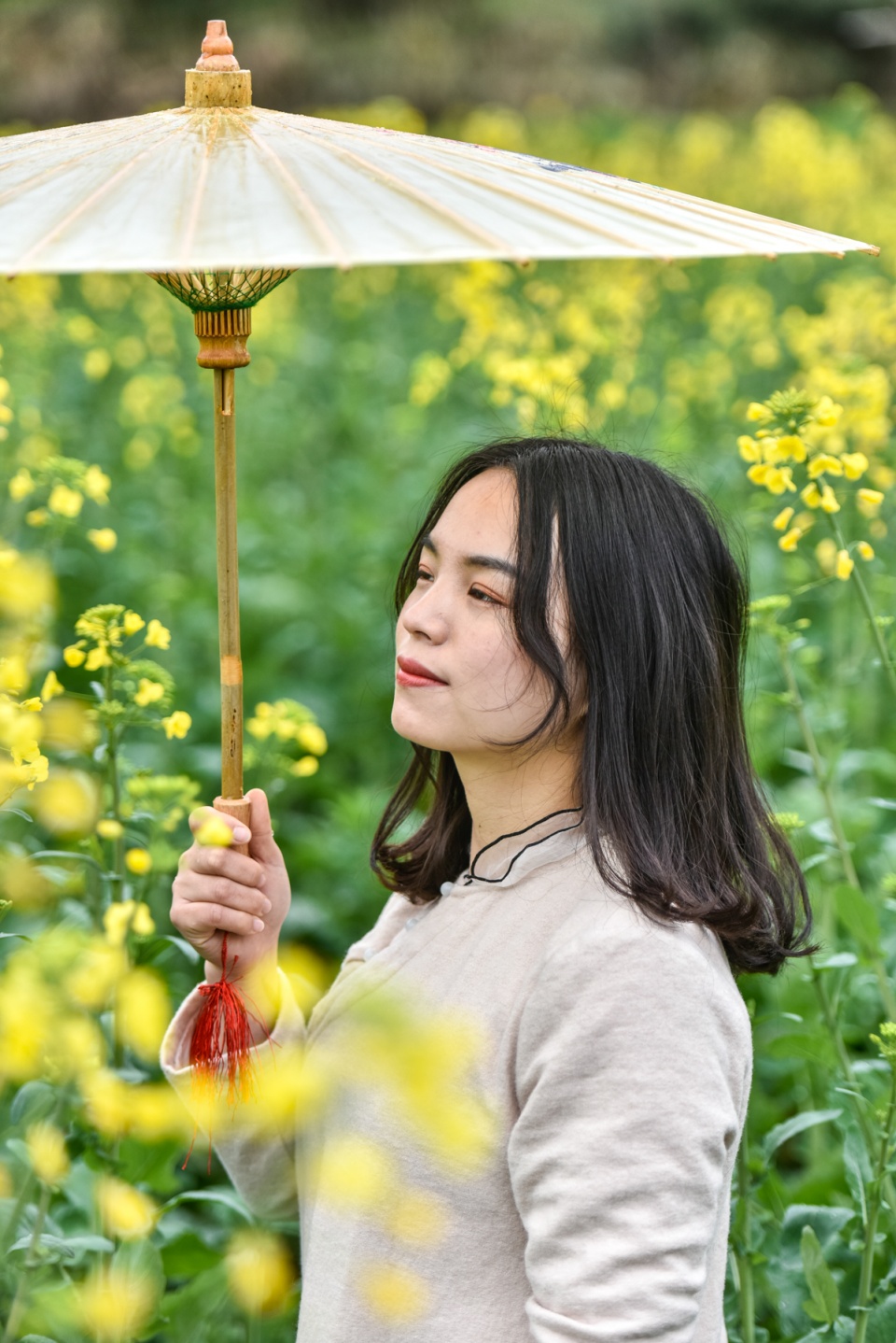 婺源油菜花已经盛开了,无需再等待到3月啦!