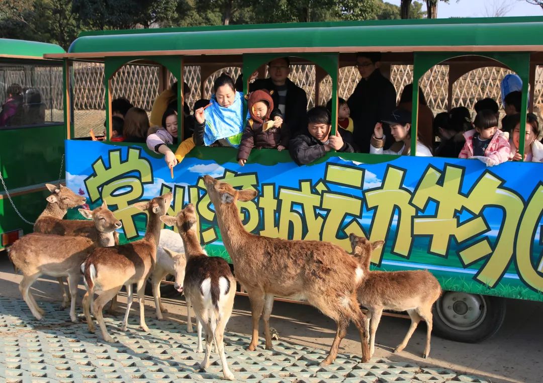 aaaaa級的野生動物園常州淹城野生動物世界園區佔地約2000畝,展出世界