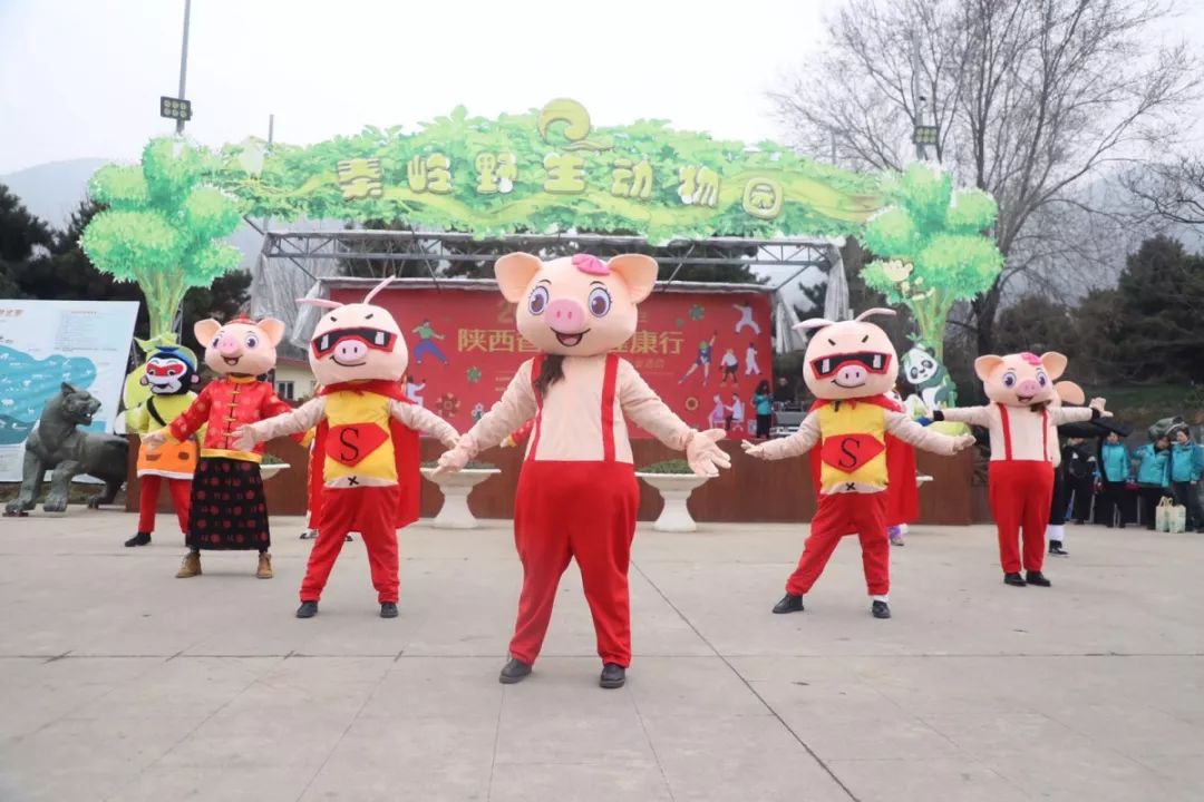 秦岭野生动物园马戏团图片