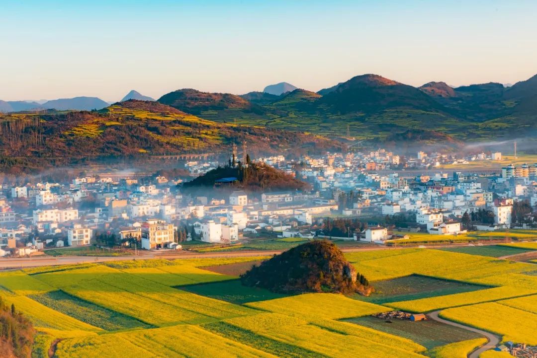 2月逃離寒冬吧,雲南羅平已花開成海,美成仙境!