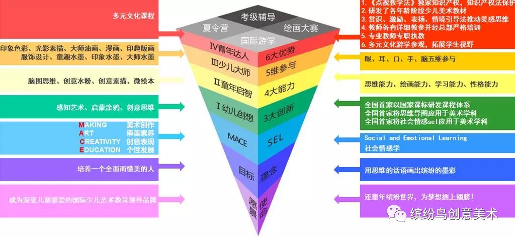 缤纷鸟课程体系图片