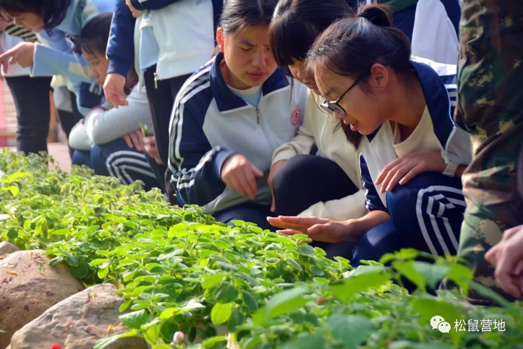 東南花都研學實踐探索自然收穫自我定位人生南靖一中2018級高一學生