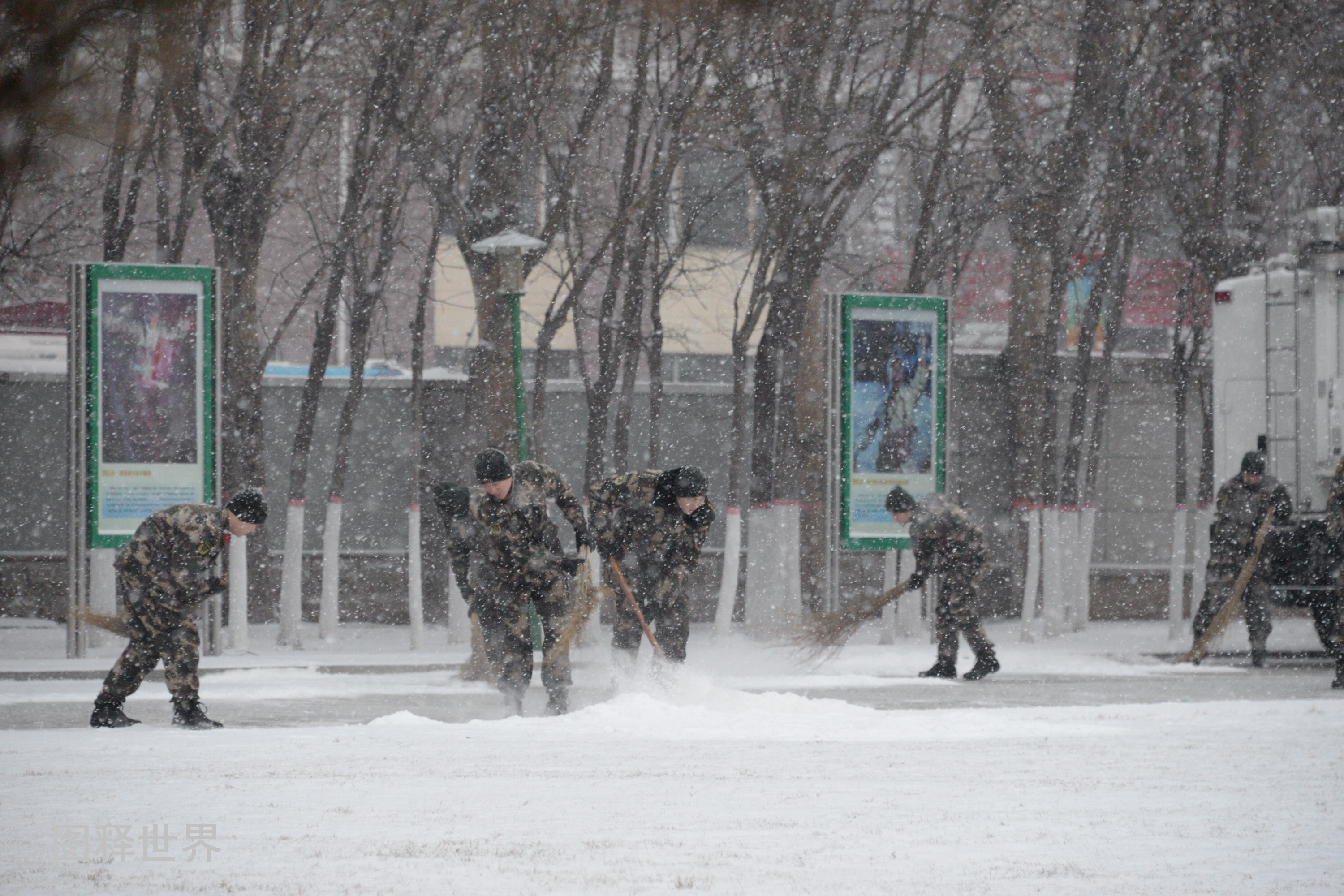 节后第一场瑞雪降临辽宁致敬最美雪中武警哨兵